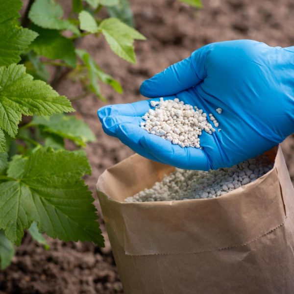 Biofertilizers