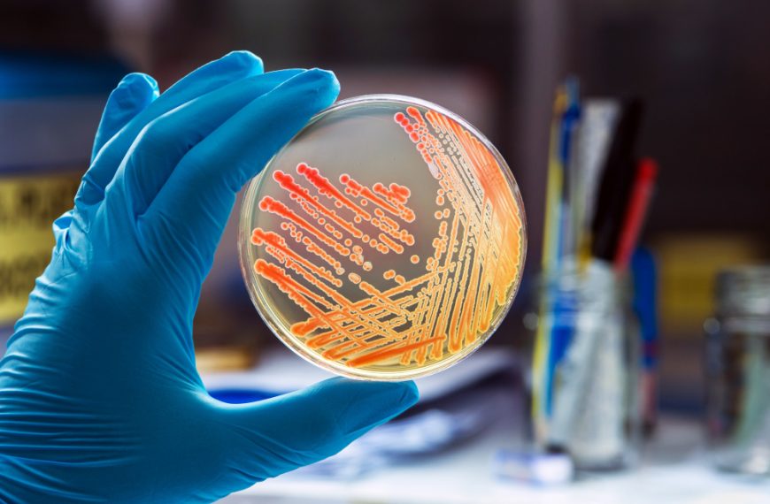 Biofungicides